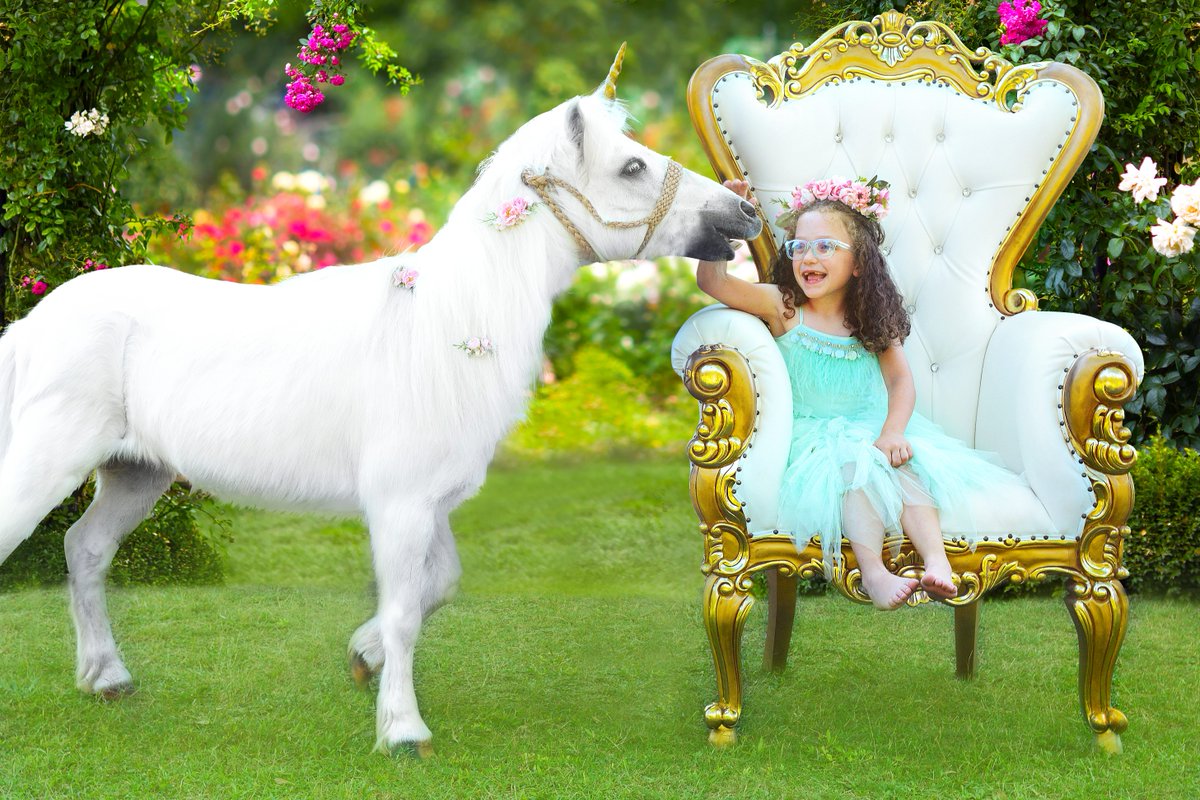 Make-A-Wish America tweet media