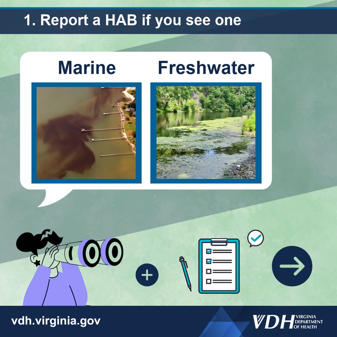 VDHgov's tweet photo. Harmful Algal Bloom (HAB) season is from July-October. Help keep yourself and Virginia waters safe from HABs this weekend:

📝  Report a HAB if you see one
📍 Know where HABs are occurring
🔍  Learn more about Virginia HABs at https://t.co/wL0vaqp4vu https://t.co/2qYmtfWVL8