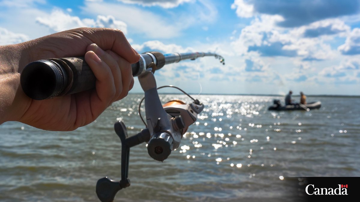 MPO_Pacifique's tweet photo. Nous souhaitons recueillir votre avis concernant les modifications proposées au Règlement de pêche sportive de la Colombie-Britannique.

Donnez votre avis avant le 3 août, 2026. https://t.co/uM6Aq9EAc0 https://t.co/7ddkCdoGPQ