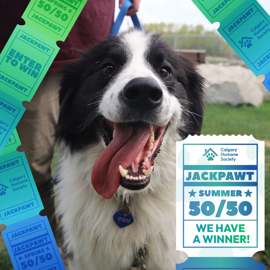 CalgaryHumane's tweet photo. A huge congratulations to the lucky winner of our Summer JackPAWT- Ticket #1402016 🎉😎

Thank you to everyone who participated and helped us reach over $120,000! 🥳

Keep an eye out for our next JackPAWT beginning October 1st! 😎

#YYC #SummerJackPAWT https://t.co/kR0QPviJKt