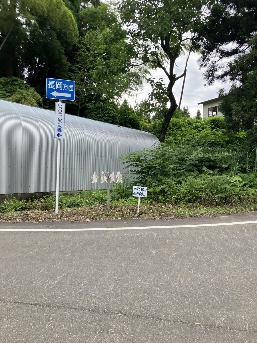 p_mutton's tweet photo. かかし田んぼって看板見つけて寄り道したらすごい景色のキレイな棚田に到着🌾星野峠まで行かんでもキレイなとこが新潟にはめちゃくちゃ溢れてる✨
木のアートがいっぱいあって道中ずっと楽しかった🚘 https://t.co/QbSC7paUKN