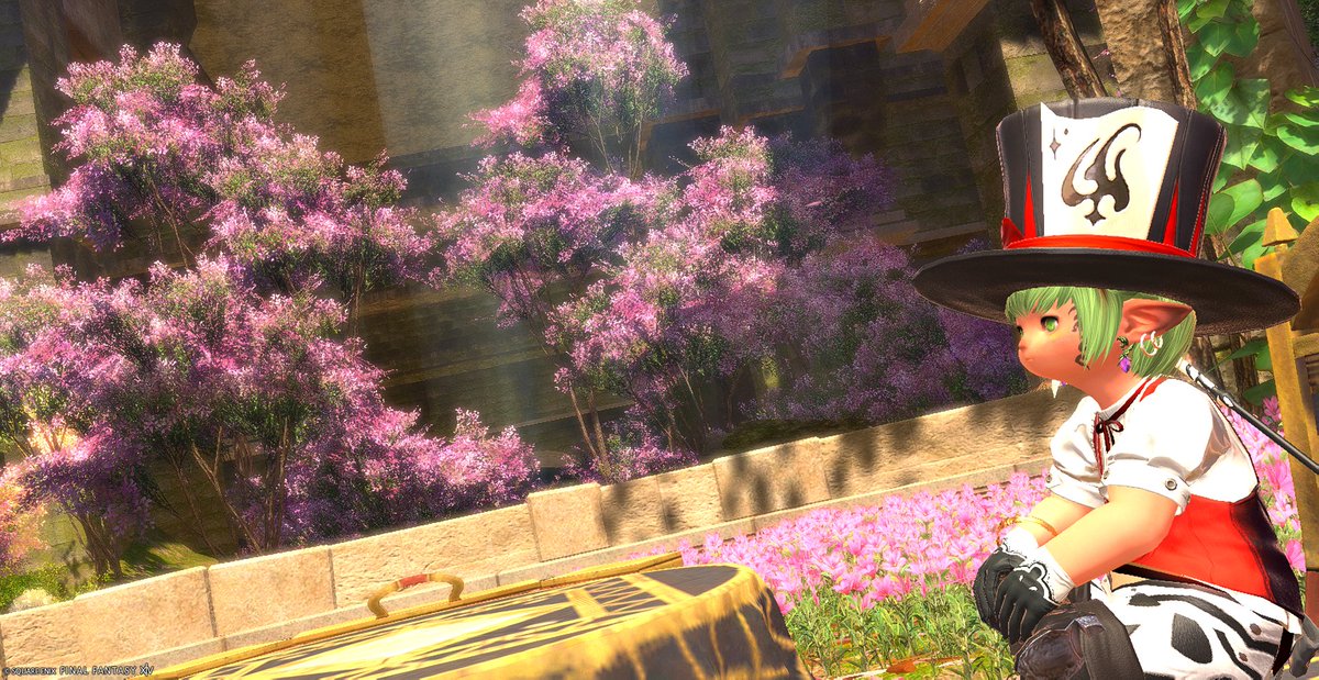 Mitzy_ff14's tweet photo. ？？？「人は誰でも一度��らいはピエロを演じるものさ」 https://t.co/g8p6ZMf5WI