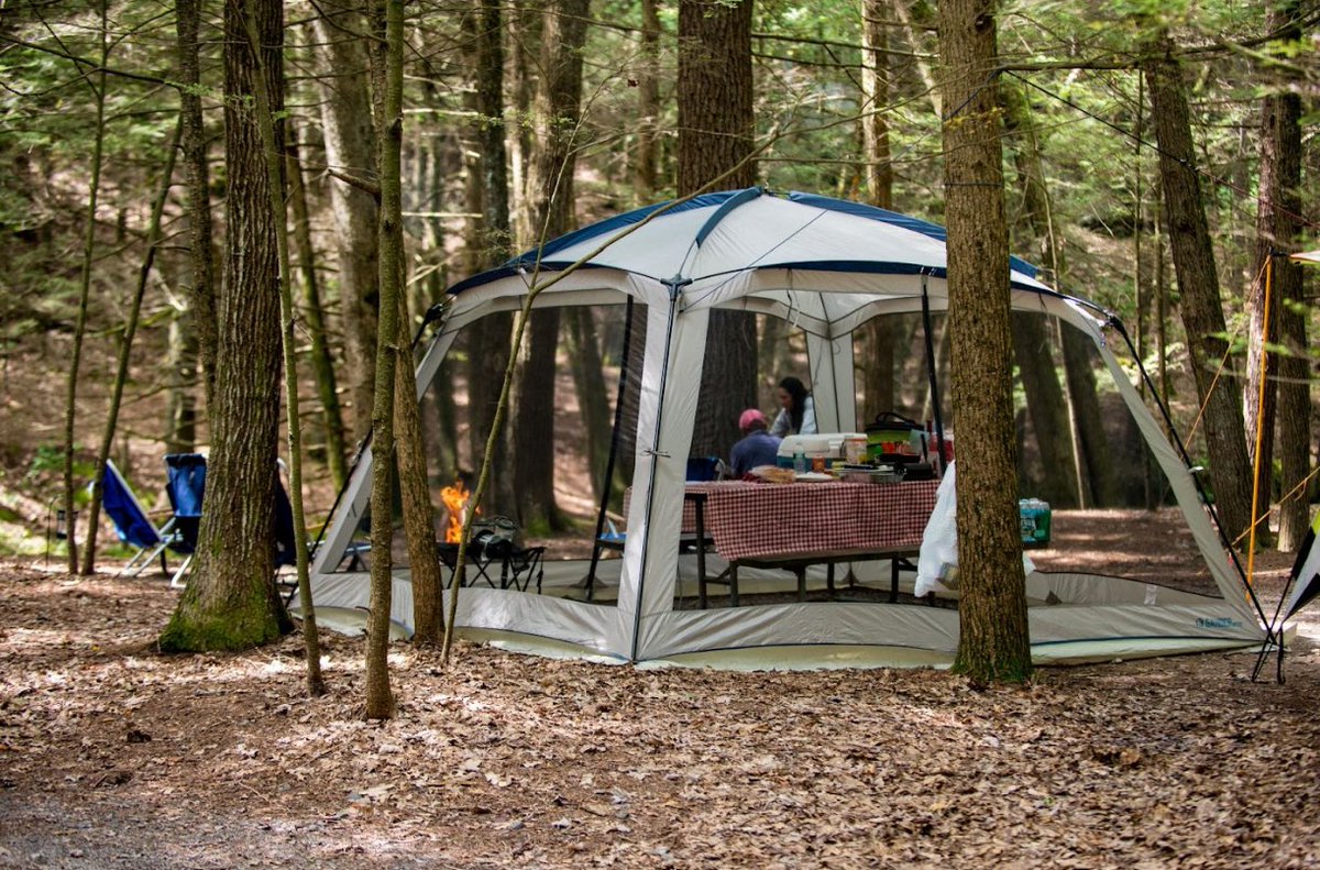 RVWCampgrounds's tweet photo. Surrounded by trees, good food, and good company sometimes that's all you need.
Book your stay now! https://t.co/C3IU4Rgk0V
#RipVanWinkleCampgrounds #CampingLife #TentCamping #CampgroundLife #CampingSeason #GetOutside #NatureLovers #FamilyCamping #camplife https://t.co/468bCDXAVq
