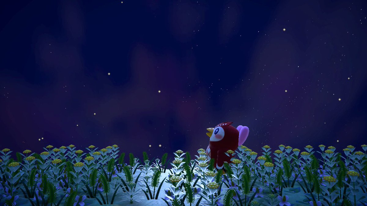 dendenodeny's tweet photo. 七夕の夜にフーコちゃんに会えた〜🌟
🦉🎀🌌🎋 https://t.co/58VWCfbAuz