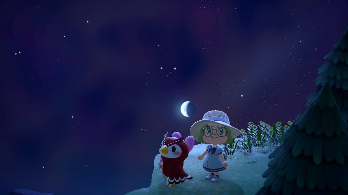 dendenodeny's tweet photo. 七夕の夜にフーコちゃんに会えた〜🌟
🦉🎀🌌🎋 https://t.co/58VWCfbAuz