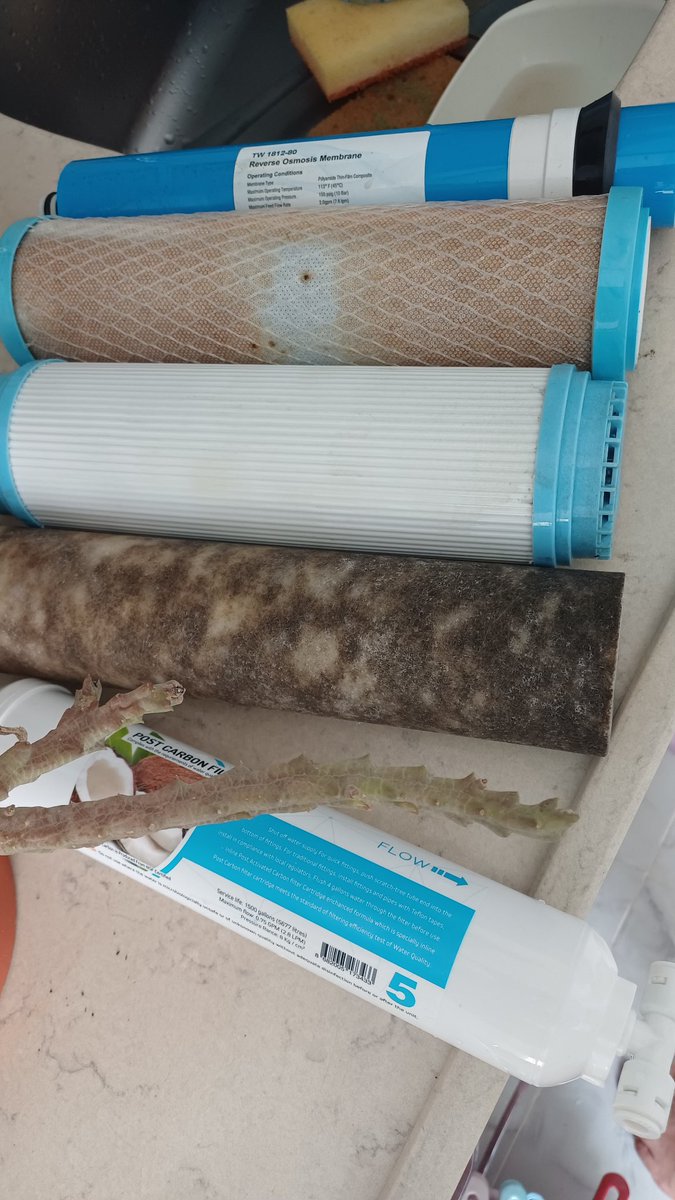 Zakir0834's tweet photo. İhlas sebilon su arıtma cihazı kullanıyorum su kokmaya başladığı için filitreleri karaköyden alıp kendim değiştirdim karbon filtreden çıkan suyu dikkatli izleyin. En son eylül 15 de 5 li set değiştirmiştim. #ihlassuarıtma #iski #su #içmesuyu https://t.co/0MUSleDoTs