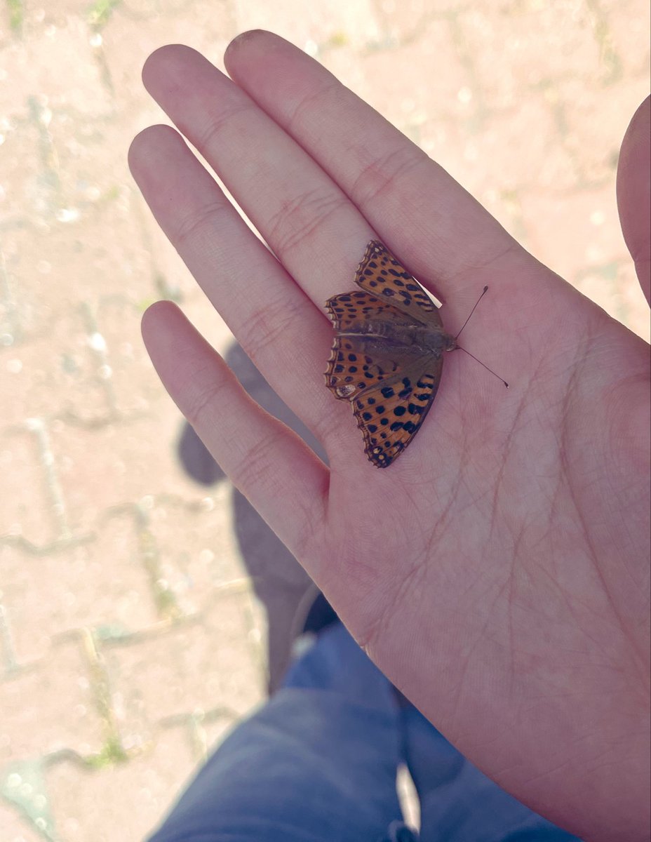 bbuseknk's tweet photo. O kadar güzel ki değil mi ? Ama vakti dolmuş gitmesi gerekmiş..Her güzel şeyin bir sonu vardır… https://t.co/kXxy0jPjol
