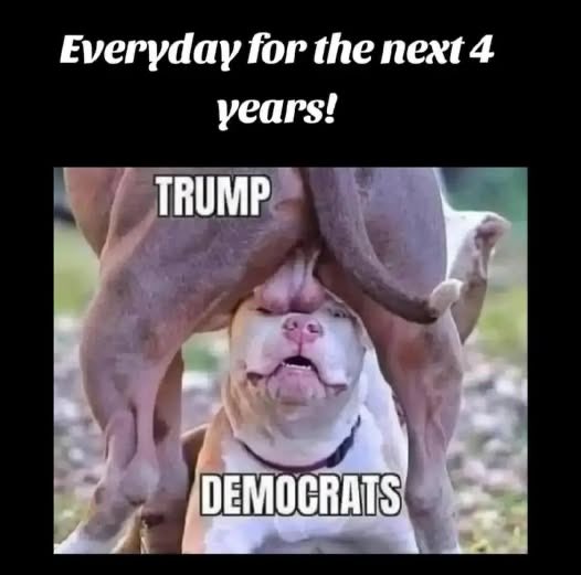SDGinge's tweet photo. @donmgreen @Jennifer55gt Nobody cares about you or wants to hear from you, so just crawl back under your bridge https://t.co/95qroYt0Ti