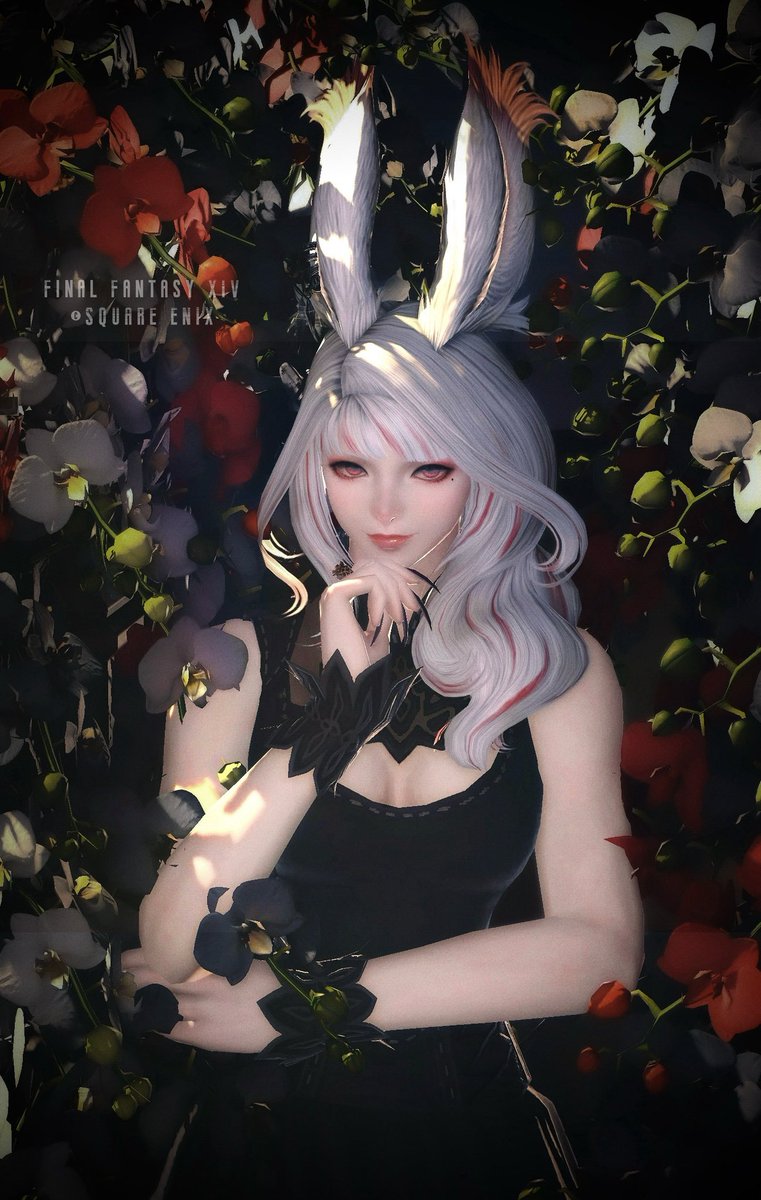 _NekoPancake_'s tweet photo. おはミコ...じゃないウサ🐰
勢いとノリでうさこへパリンです🧪･:*
周りがうさぎ勢が多いから乗っかりよ❤️
期間限定ですぐ戻しますが仲良くしてねっ！

#FF14 #FF14SS #MeteorDC #おはウサ #ヴィエラ https://t.co/gjkS1iQxJ0