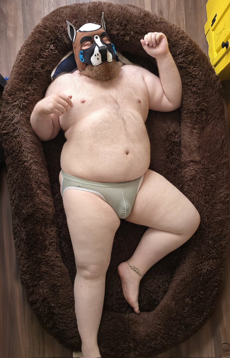AebiBear tweet picture
