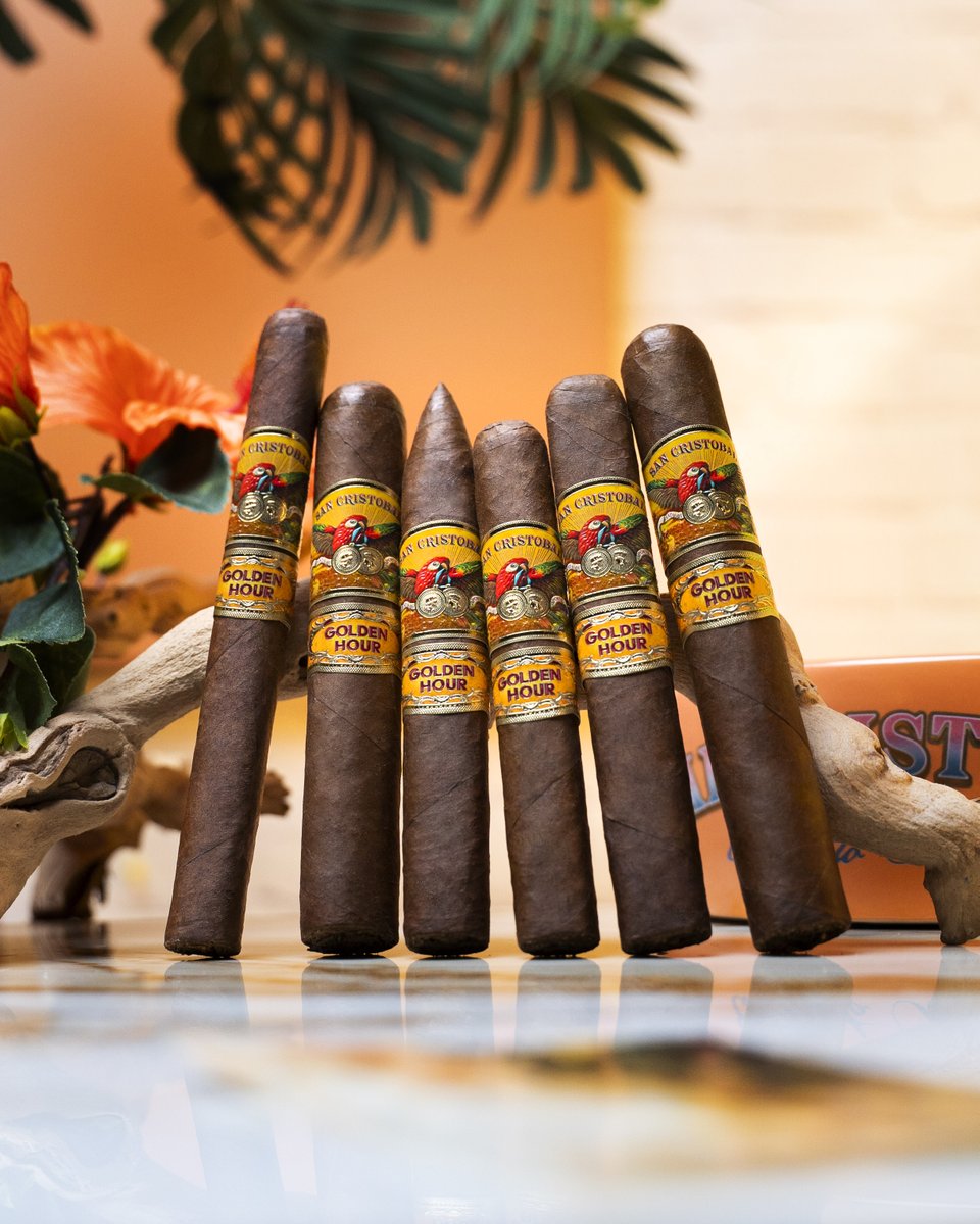 HoltsCigar's tweet photo. Golden Hour is here 🔥🌇

This BRAND NEW blend from San Cristobal celebrates the enchanting moment when the sunset casts a brilliant cascade of color and light across the horizon. Try for yourself and let us know what you think! https://t.co/o4cZJ6VRUm