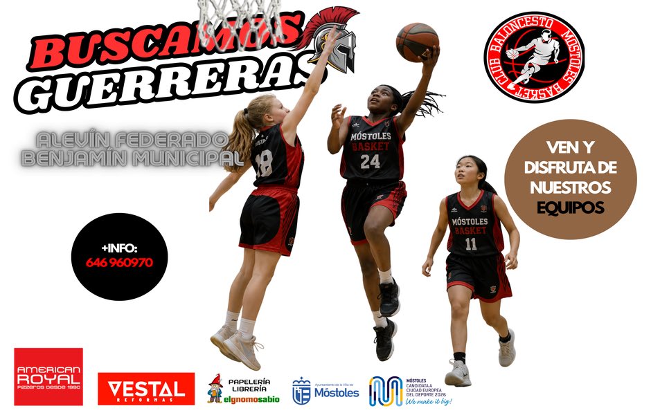 MostolesBasket's tweet photo. Buscamos jugadores y jugadoras para:

- Alevín Masculino Federado (2015/16)
- Alevín Femenino Federado (2015/16)
- Benjamin Masculino Municipal (2017/18)
- Benjamin Femenino Municipal (2017/18)

Ven y disfruta de nuestros equipos

+info: 646960970

@deportesmost @PrensaSurMadrid https://t.co/TONj1fWylN