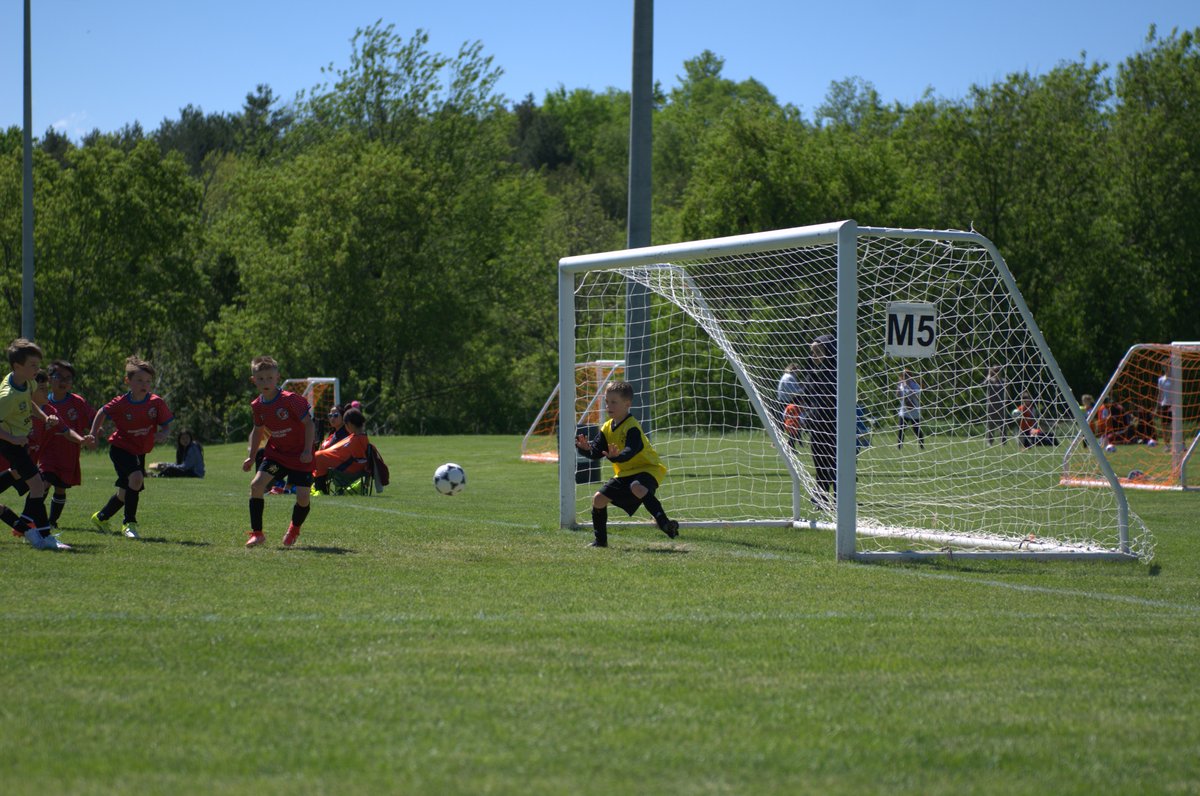 CaledonSC tweet picture