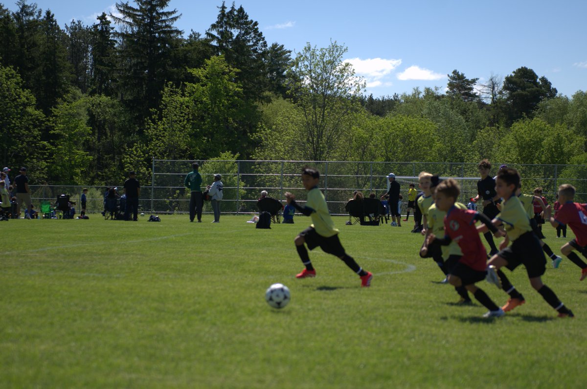 CaledonSC tweet picture