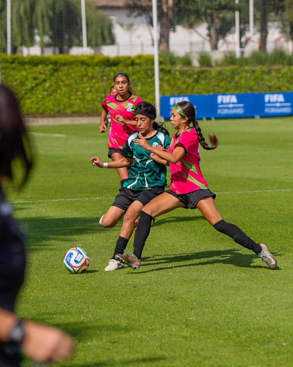 Federación Mexicana de Futbol tweet media