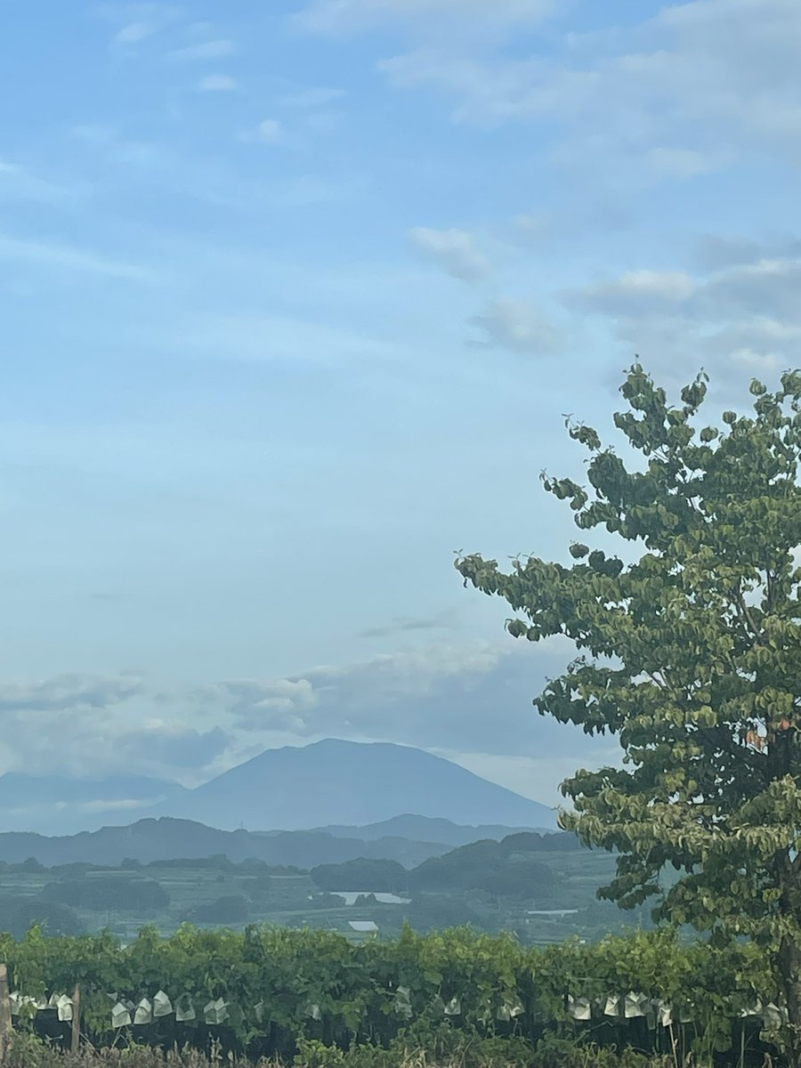 mavicphantom's tweet photo. おはようございます

水曜日

がんばりましょう https://t.co/rzSC3U1QxU