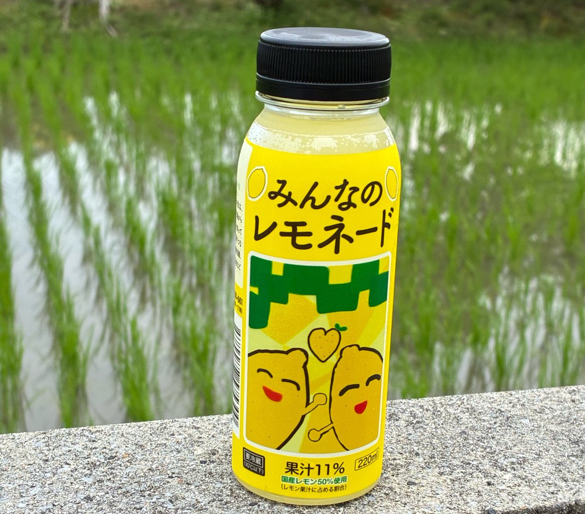 upRXuvH8SMy9JIw's tweet photo. みんなのレモネード

今ファミリーマートで
レモネードが売ってます
買うことで一部が
小児がんの子たちへの寄付につながります
味も甘酸っぱくて今の時期に最適
皆さん手に取ってみてください
今も闘病中の子どもたちに
どうかたくさんの幸せなこと
ありますように
#ファミリーマート
#みんなのレモネード