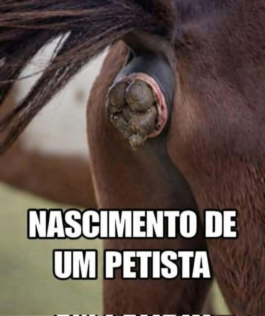 GrossiRico's tweet photo. @pfigueiredo08 https://t.co/MYfqwY1kmG