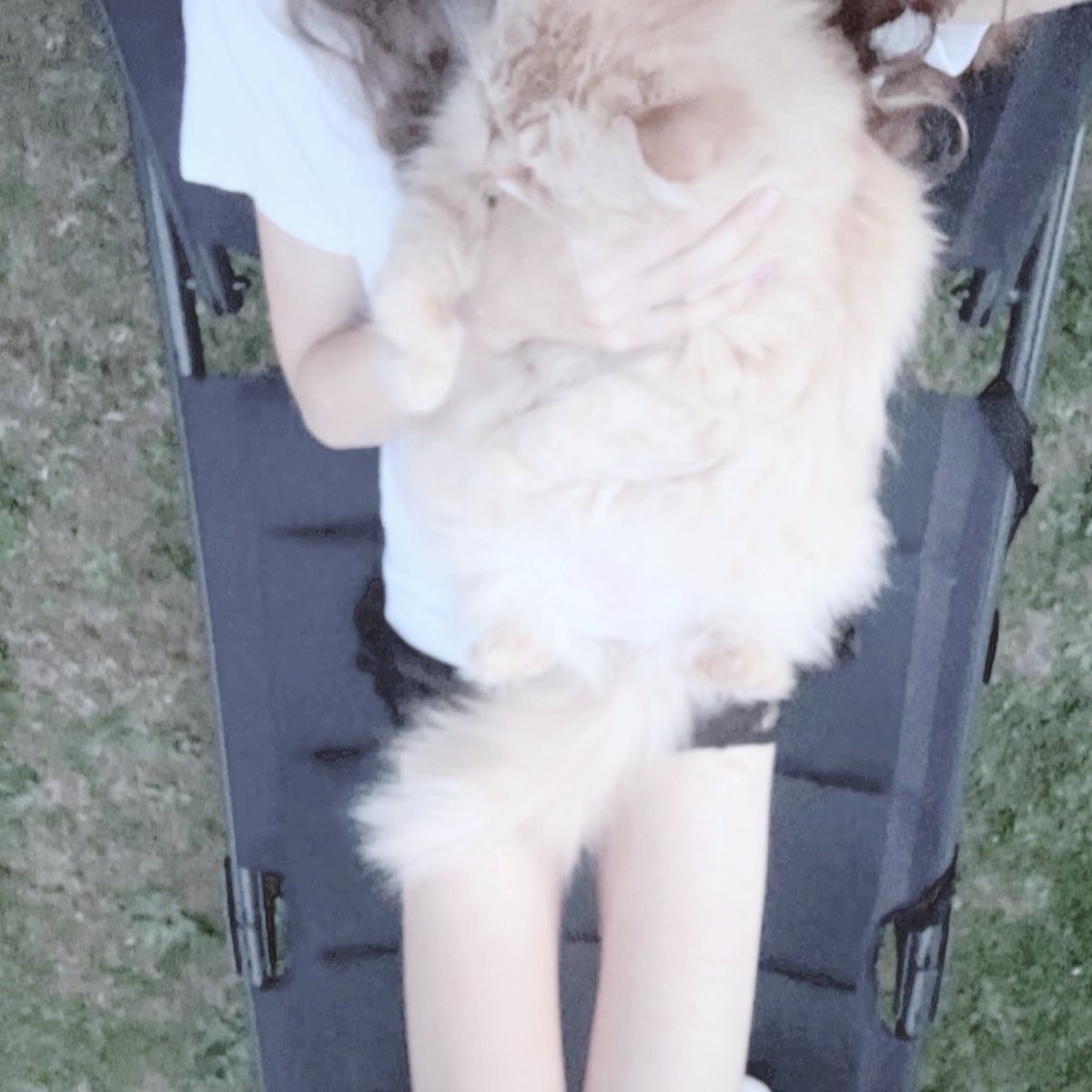 𝐰𝐢𝐧𝐧𝐢𝐞 ♥︎ tweet media
