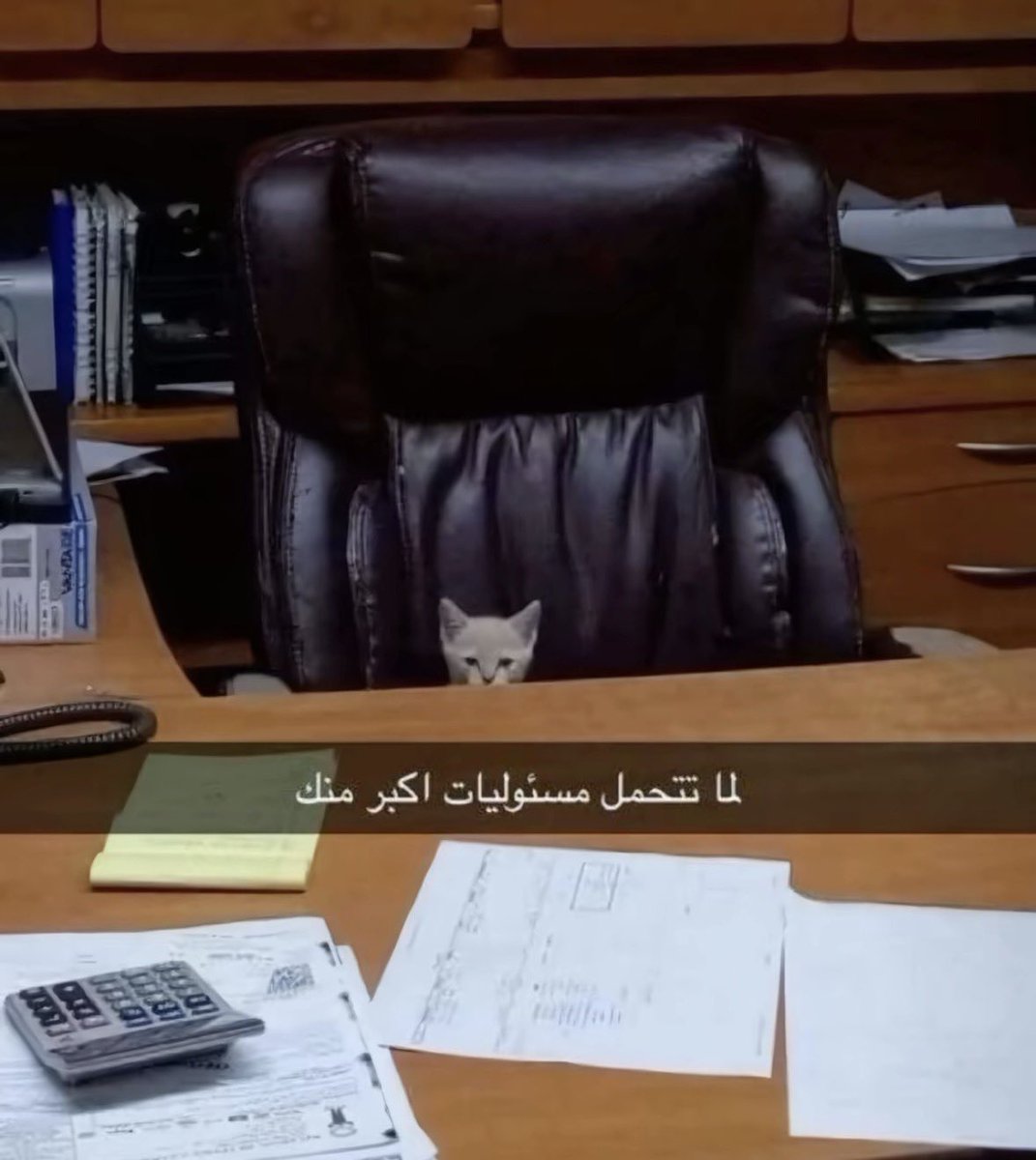 _iis1l's tweet photo. اختي نزلت بنتها عندي https://t.co/E8uaz7LjDt