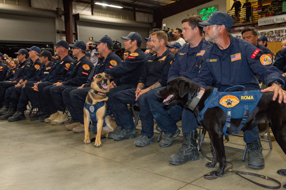 Cal_OES's tweet photo. Our deepest gratitude to the brave men, women, and K-9s of the @LACOFD USA–2 international USAR team, who returned last night from rescue efforts in #Venezuela.

The team spent 11 days navigating the global disaster, conducting 24/7 search and rescue operations across multiple collapsed structures.

Thank you for answering the call. Your skill and dedication saved lives.