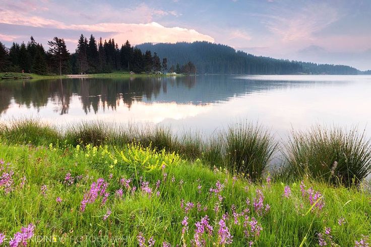 elemmiressoul's tweet photo. lovely nature. https://t.co/ZQK7PhcDmN