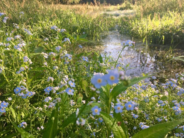 elemmiressoul's tweet photo. lovely nature. https://t.co/ZQK7PhcDmN