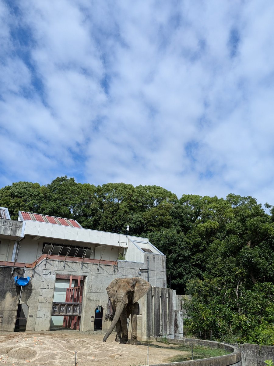 mahout417's tweet photo. おはようございます。
今日もやっちゃいますかね
がんばっていきまっしょい！ https://t.co/ixeWaU1hCZ