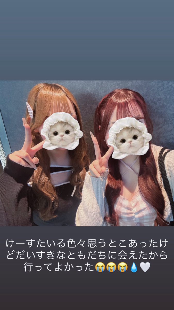 shinyan21's tweet photo. KstylePARTY2026♥崖登らされたり色々ありましたがとぅあすとおともだちだいすき🙀🩶✨ https://t.co/VT8f30g1OJ