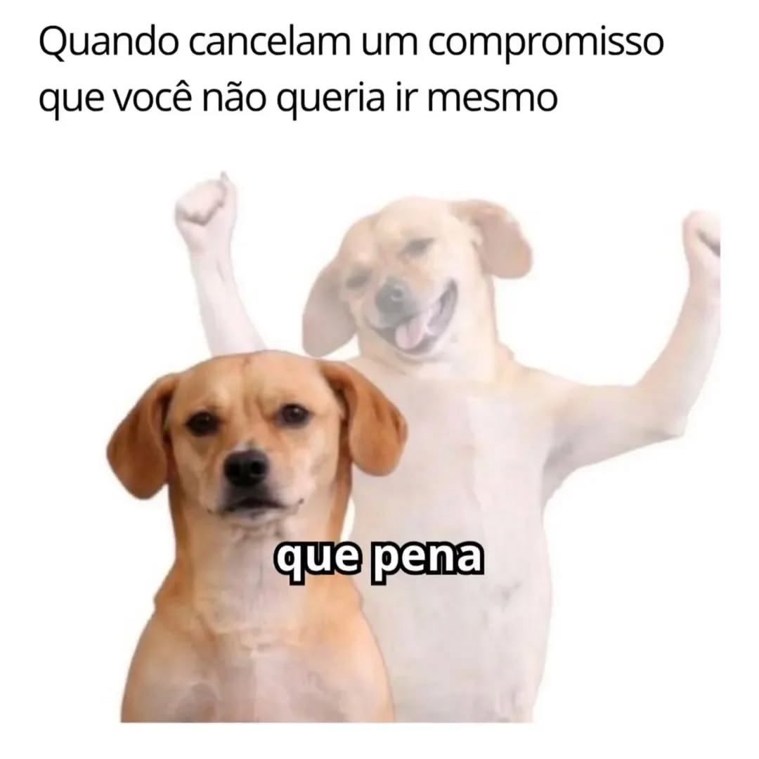 shitpostverdade's tweet photo. https://t.co/kXMCTyaSAv