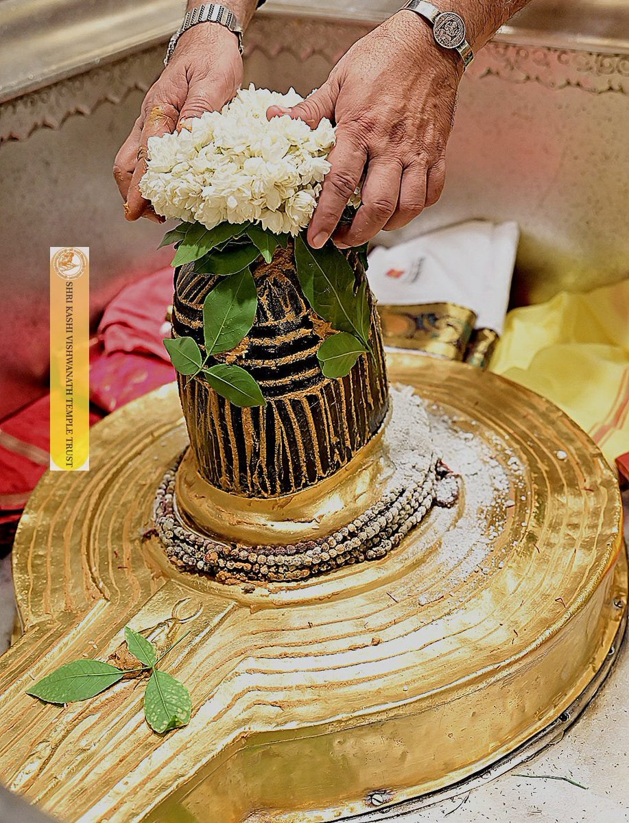 ShriVishwanath's tweet photo. श्री काशी विश्वनाथ जी की श्रृंगार आरती I
#kashivishwanath #kashi #hindu #sanatandharmaसनातन https://t.co/5lRiS21ZJp