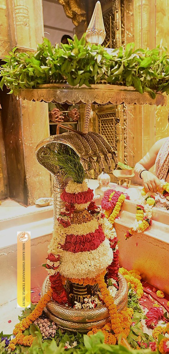ShriVishwanath's tweet photo. श्री काशी विश्वनाथ जी की श्रृंगार आरती I
#kashivishwanath #kashi #hindu #sanatandharmaसनातन https://t.co/5lRiS21ZJp