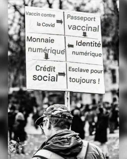 yannlbone's tweet photo. #Esclavage #Euronumerique #Mouton #Vaccin #Passeport https://t.co/t0EnQsiQ4r