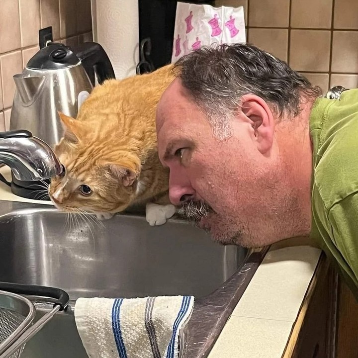 PunchingCat's tweet photo. https://t.co/i86SsNmphK