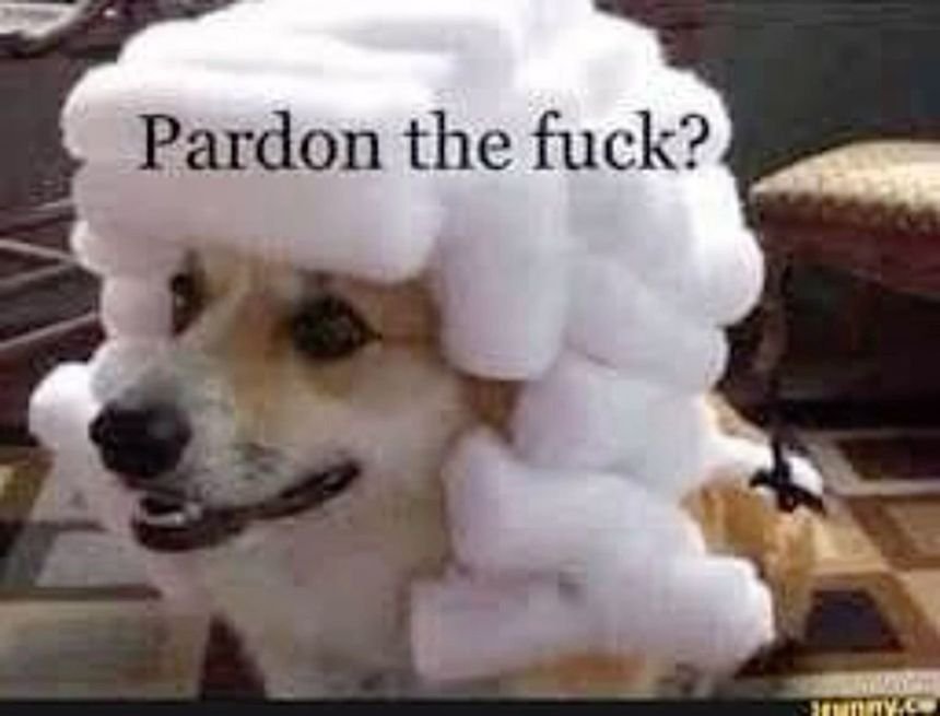 Ghost Of Babylon tweet media