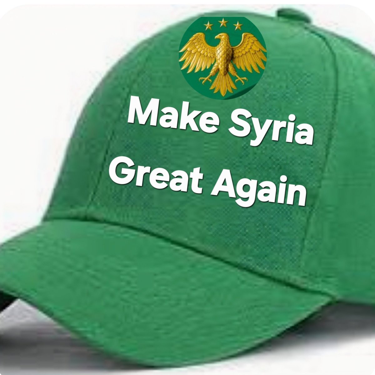 SyriaFirst76's tweet photo. @hind_kabawat https://t.co/c0LK85i1xI