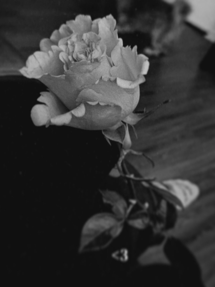 _itzDj_'s tweet photo. 🖤🖤🖤 https://t.co/3GnFS2sdRx