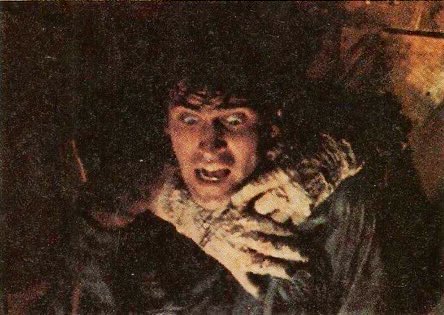 horrorsthetics's tweet photo. the evil dead, 1981 https://t.co/w6sdB8sODA