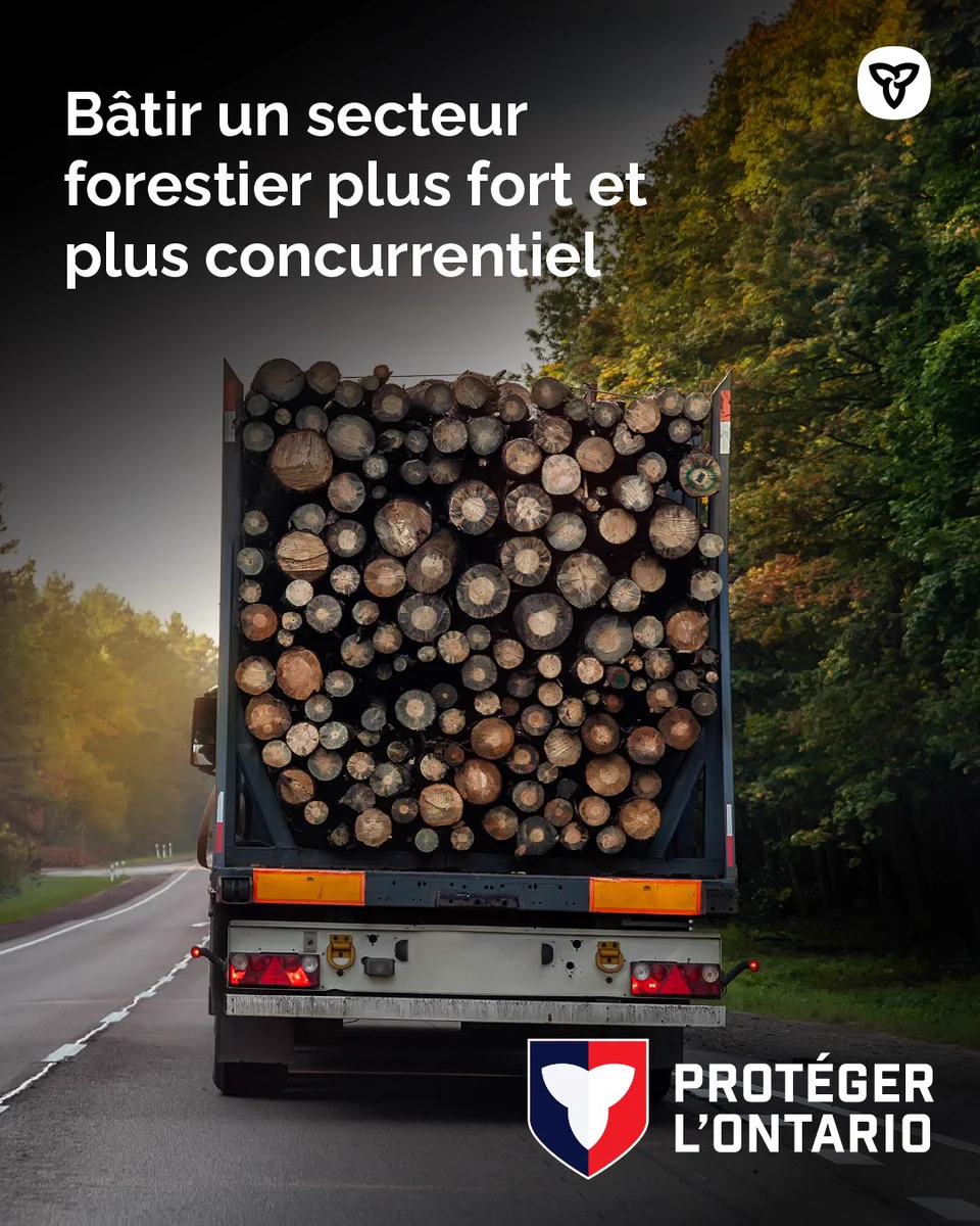 Text: Bâtir un secteur forestier plus fort et plus concurrentiel
Alt text: Un camion chargé de grumes, accompagné d'un texte indiquant, « Bâtir un secteur forestier plus fort et plus concurrentiel »
