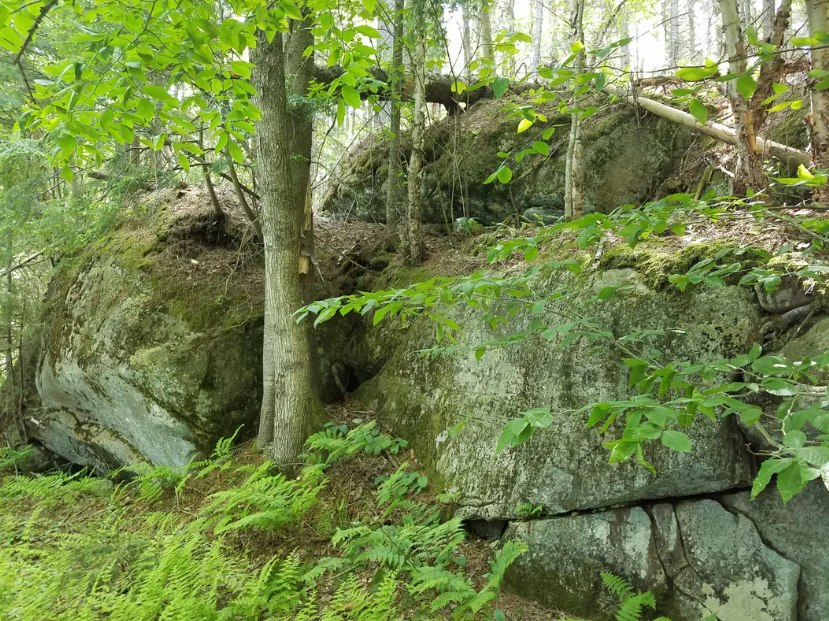 WildAdks's tweet photo. The Adirondack Mountain Club is offering a program: Rock Talk on the Trail, a two-hour guided hike to explore the landscape by observing its geology, forests, and natural systems. Free. Saturday, 11 July. 1:00 – 3:00 PM. Adirondak Loj Front Porch, 1002 Adirondack Loj Rd, Lake Placid, NY. More info:
https://t.co/cWgfqEA6kn