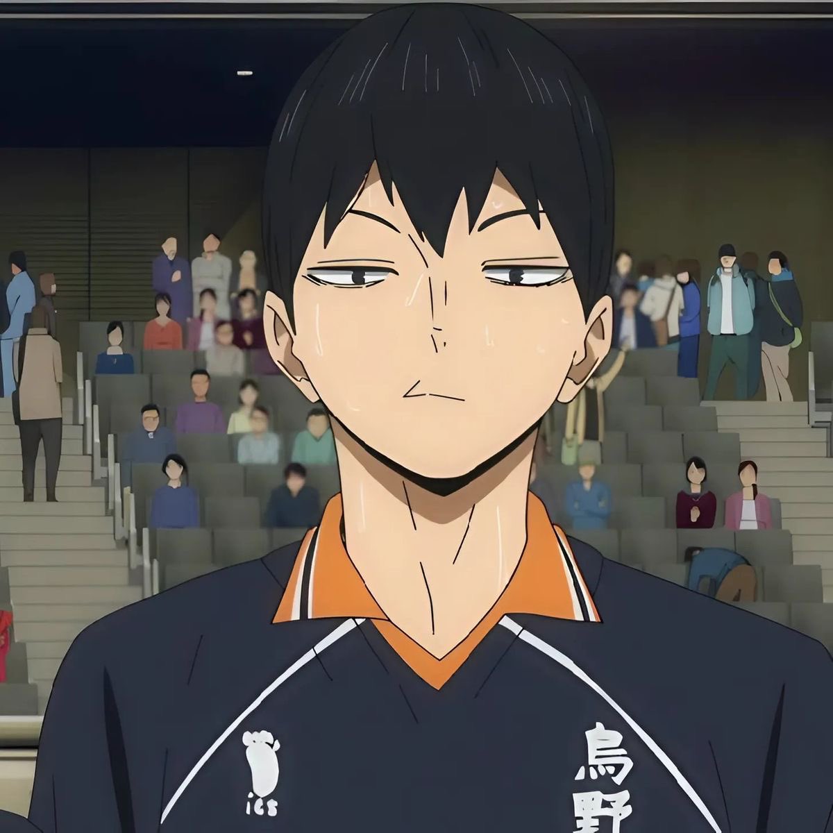 neitoozz's tweet photo. "tobio kageyama is not a cat"

??? look at him https://t.co/QYu2hwgZDH
