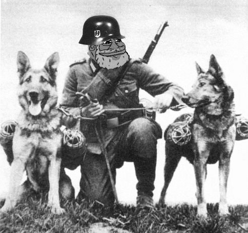 GroyperIrishist's tweet photo. #DogRight #GroyperSeason #Kek https://t.co/EIiv9f3KOx