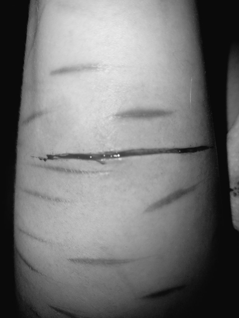 KIIXK1an's tweet photo. Too lazy to make another post for this but I just did the longest cut ive ever done https://t.co/laDSPpgehF