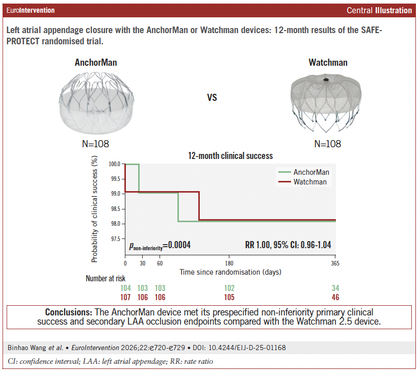 EuroInterventio's tweet photo. The SAFE-PROTECT randomized trial demonstrated that the novel AnchorMan device was non-inferior to Watchman 2.5 for 12-month clinical success and left atrial appendage closure, with improved sealing performance reflected by fewer clinically relevant peridevice leaks. 

https://t.co/7c6JDkZEWn 

@winghostnb @AlexandraLansky