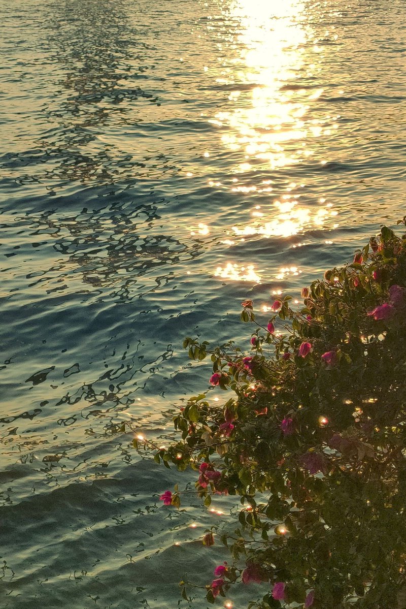 earthserenityy's tweet photo. https://t.co/h0oXIov12a