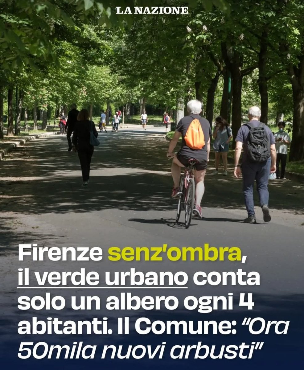 BracaliM's tweet photo. E pensare che #SaraFunaro è il sindaco più apprezzato d'Italia....ma chi viene a #Firenze può toccare con mano il degrado, apparte il centro storico, in cui versa. Forse bisogna smettere davvero di leggere i #giornaloni e le loro cazzate! #Firenze #Toscana #Italia https://t.co/riW8QjQqKd