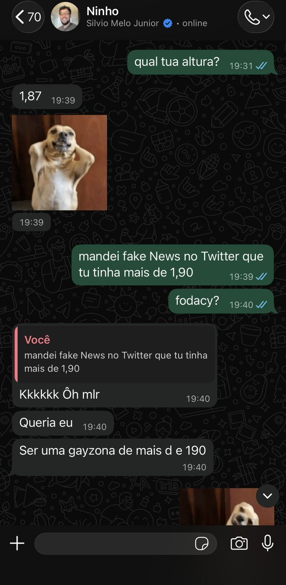 Joanna Maranhão tweet media