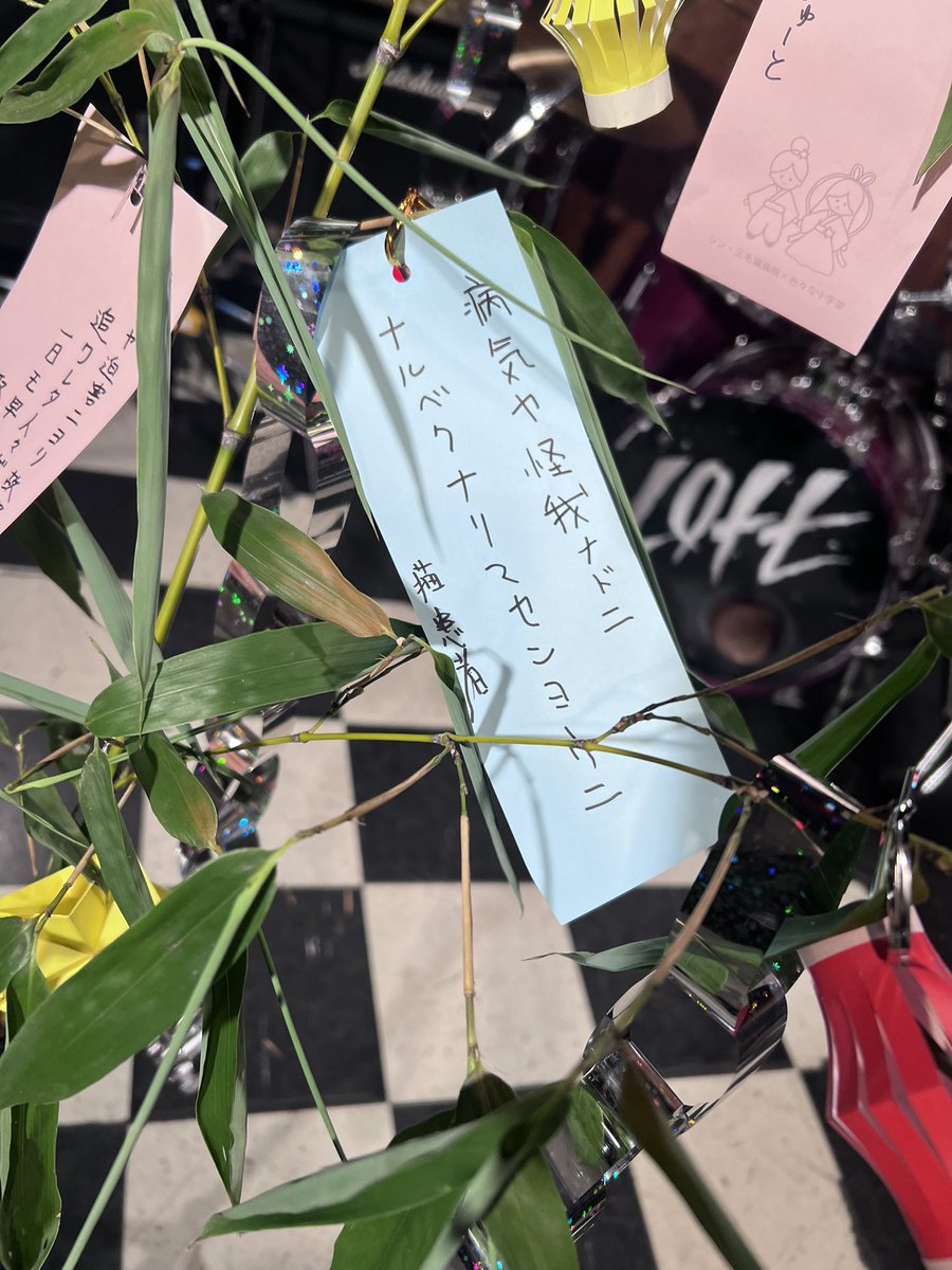 asahiruyoruco's tweet photo. もうお気付きだと思いますが、
猫患者の短冊が笹の上に横たわってて
(?患者だから病床に横になってる?)
と、思ったら横書きの短冊があって
(?横書き?)
その奥にNISAの短冊があり
(願いじゃなくて目標?)
非常にやかましく、
見てるだけで本当に疲れました。
#三毛猫病院 #色々な十字架 #2to2 https://t.co/xehUr7xvPX