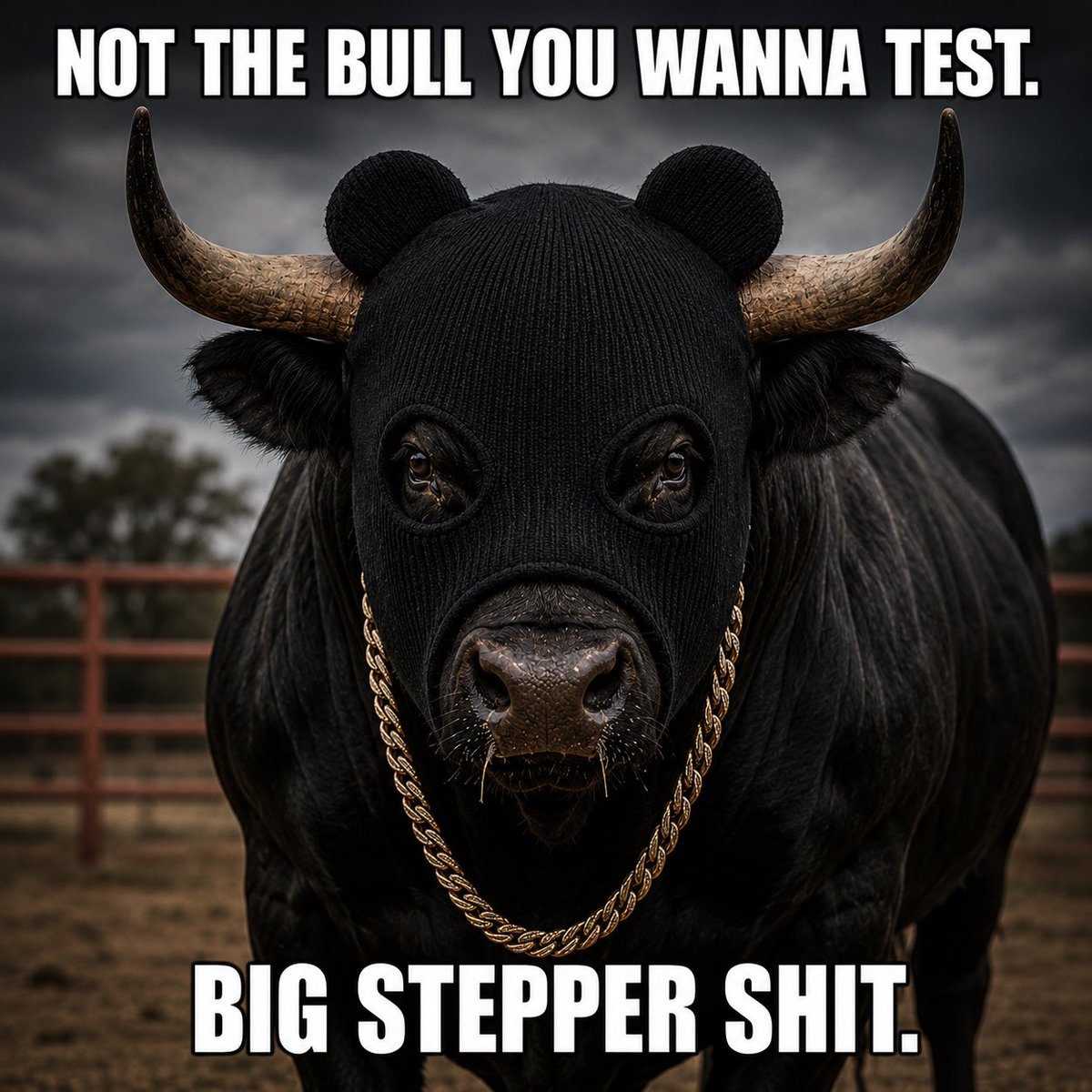 Knux Bull tweet media