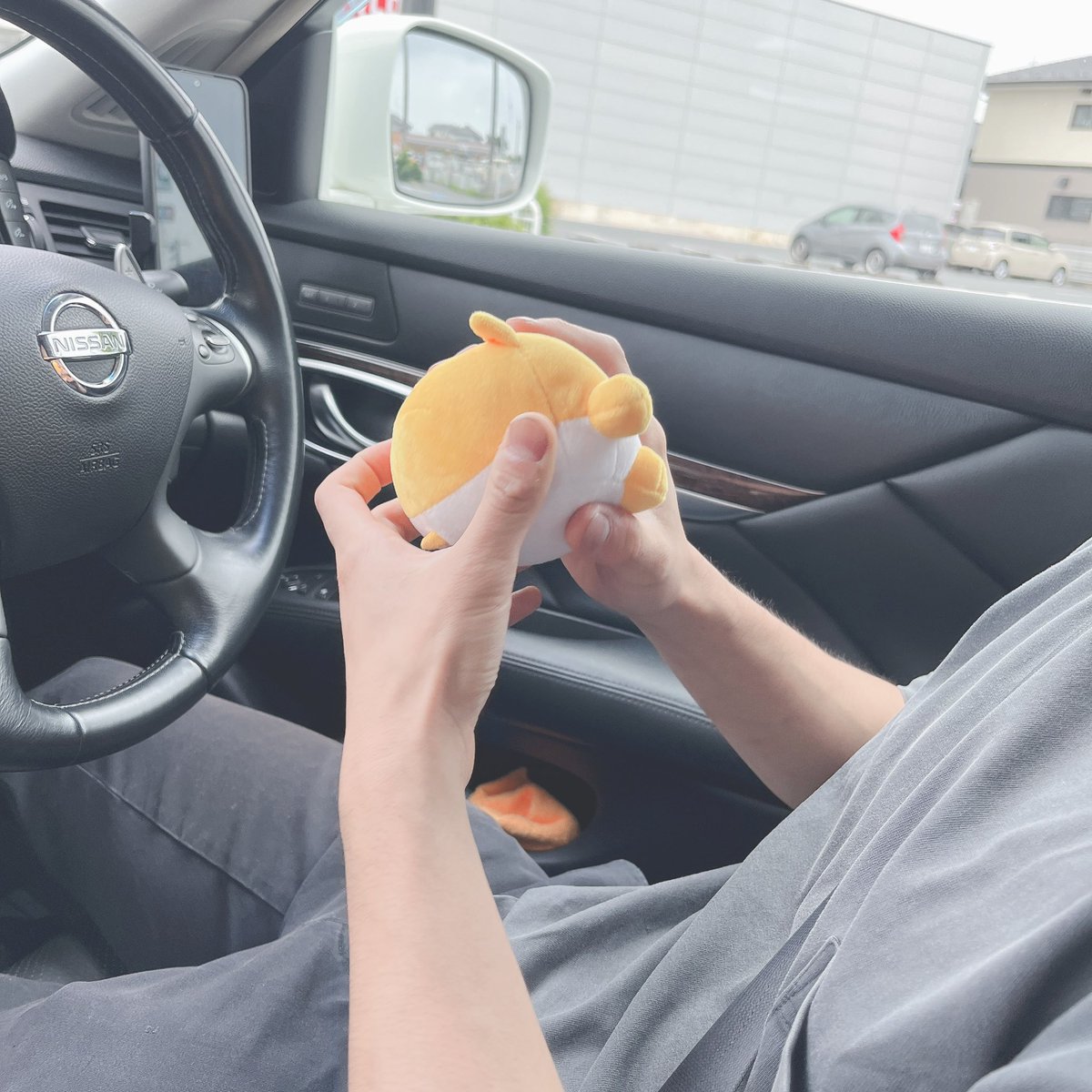 ks___h15's tweet photo. 1枚目 遊ばれるべびうんた
2枚目 うんたinアップガレージ
3枚目 うんたinガソリンスタンド
4枚目 うんたin都内 https://t.co/clFWbLbMg0